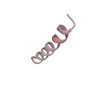 10775_6ybw_9_v1-0
Structure of a human 48S translational initiation complex - 40S body