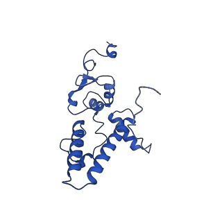 10775_6ybw_D_v1-0
Structure of a human 48S translational initiation complex - 40S body