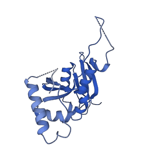 10775_6ybw_G_v1-0
Structure of a human 48S translational initiation complex - 40S body