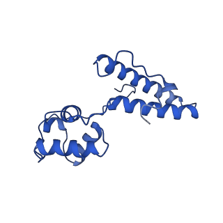 10775_6ybw_I_v1-0
Structure of a human 48S translational initiation complex - 40S body