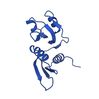 10775_6ybw_J_v1-0
Structure of a human 48S translational initiation complex - 40S body