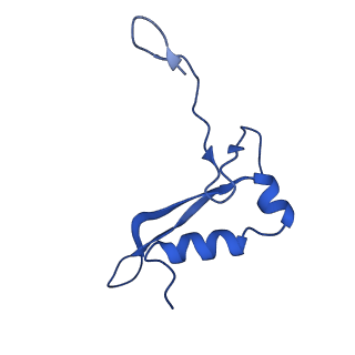10775_6ybw_K_v1-0
Structure of a human 48S translational initiation complex - 40S body