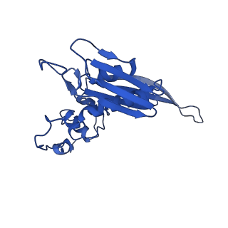 10775_6ybw_L_v1-0
Structure of a human 48S translational initiation complex - 40S body
