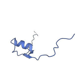 10775_6ybw_M_v1-0
Structure of a human 48S translational initiation complex - 40S body