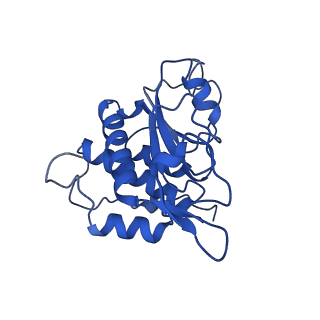 10775_6ybw_N_v1-0
Structure of a human 48S translational initiation complex - 40S body