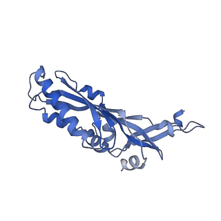 10775_6ybw_O_v1-0
Structure of a human 48S translational initiation complex - 40S body