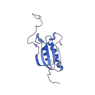 10775_6ybw_P_v1-0
Structure of a human 48S translational initiation complex - 40S body