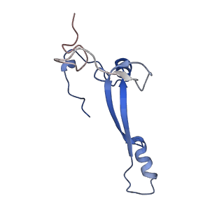 10775_6ybw_Q_v1-0
Structure of a human 48S translational initiation complex - 40S body