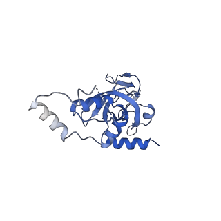 10775_6ybw_R_v1-0
Structure of a human 48S translational initiation complex - 40S body