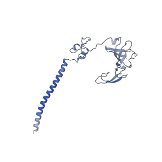 10775_6ybw_S_v1-0
Structure of a human 48S translational initiation complex - 40S body