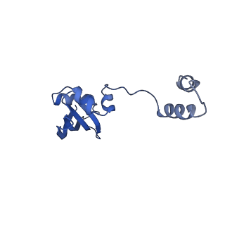 10775_6ybw_T_v1-0
Structure of a human 48S translational initiation complex - 40S body