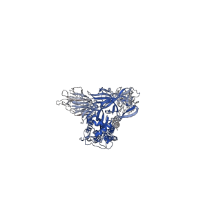 33721_7ybh_A_v1-1
SARS-CoV-2 lambda variant spike