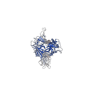 33721_7ybh_B_v1-1
SARS-CoV-2 lambda variant spike