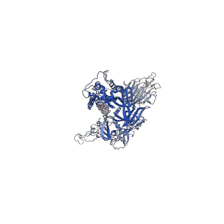 33721_7ybh_C_v1-1
SARS-CoV-2 lambda variant spike