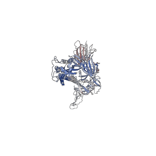 33725_7ybl_A_v1-1
SARS-CoV-2 B.1.620 variant spike (close state)