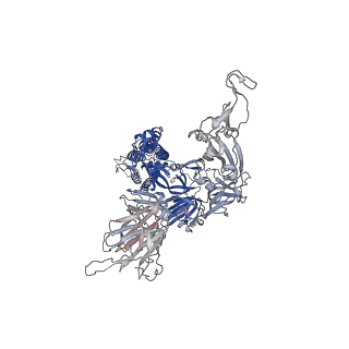 33726_7ybm_C_v1-1
SARS-CoV-2 C.1.2 variant spike (Close state)