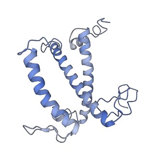 33737_7yca_2_v1-0
Cryo-EM structure of the PSI-LHCI-Lhcp supercomplex from Ostreococcus tauri