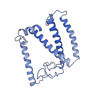 33737_7yca_6_v1-0
Cryo-EM structure of the PSI-LHCI-Lhcp supercomplex from Ostreococcus tauri