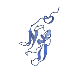 33737_7yca_C_v1-0
Cryo-EM structure of the PSI-LHCI-Lhcp supercomplex from Ostreococcus tauri