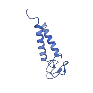 33737_7yca_K_v1-0
Cryo-EM structure of the PSI-LHCI-Lhcp supercomplex from Ostreococcus tauri