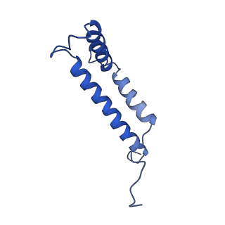 33737_7yca_O_v1-0
Cryo-EM structure of the PSI-LHCI-Lhcp supercomplex from Ostreococcus tauri