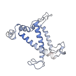 33737_7yca_P_v1-0
Cryo-EM structure of the PSI-LHCI-Lhcp supercomplex from Ostreococcus tauri
