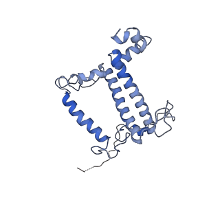 33737_7yca_Q_v1-0
Cryo-EM structure of the PSI-LHCI-Lhcp supercomplex from Ostreococcus tauri