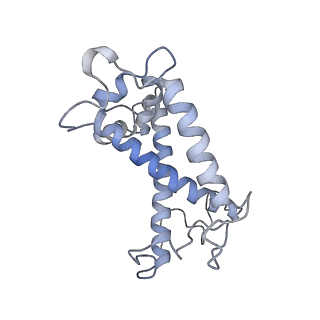 33737_7yca_R_v1-0
Cryo-EM structure of the PSI-LHCI-Lhcp supercomplex from Ostreococcus tauri
