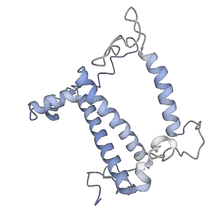 33737_7yca_S_v1-0
Cryo-EM structure of the PSI-LHCI-Lhcp supercomplex from Ostreococcus tauri