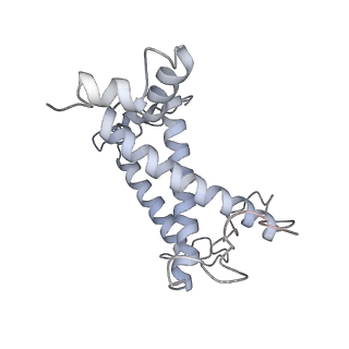 33737_7yca_U_v1-0
Cryo-EM structure of the PSI-LHCI-Lhcp supercomplex from Ostreococcus tauri
