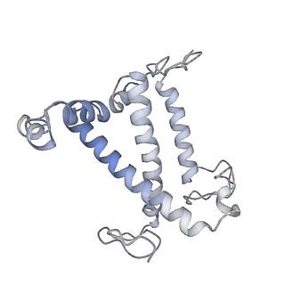 33737_7yca_V_v1-0
Cryo-EM structure of the PSI-LHCI-Lhcp supercomplex from Ostreococcus tauri
