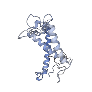 33737_7yca_W_v1-0
Cryo-EM structure of the PSI-LHCI-Lhcp supercomplex from Ostreococcus tauri