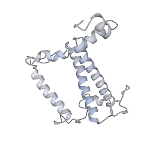 33737_7yca_X_v1-0
Cryo-EM structure of the PSI-LHCI-Lhcp supercomplex from Ostreococcus tauri