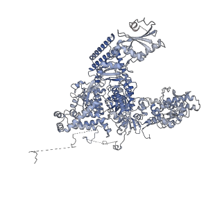 33741_7ycx_1_v1-2
The structure of INTAC-PEC complex