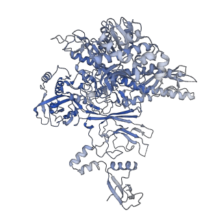 33741_7ycx_2_v1-2
The structure of INTAC-PEC complex