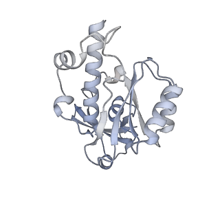 33741_7ycx_4_v1-2
The structure of INTAC-PEC complex