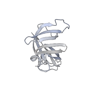 33741_7ycx_6_v1-2
The structure of INTAC-PEC complex