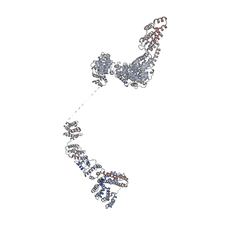 33741_7ycx_A_v1-2
The structure of INTAC-PEC complex