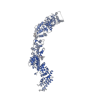 33741_7ycx_B_v1-2
The structure of INTAC-PEC complex