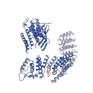 33741_7ycx_D_v1-2
The structure of INTAC-PEC complex