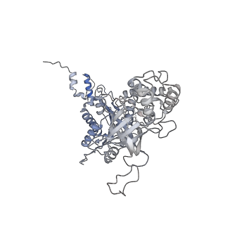 33741_7ycx_F_v1-2
The structure of INTAC-PEC complex