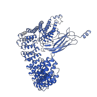 33741_7ycx_G_v1-2
The structure of INTAC-PEC complex