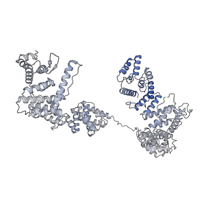33741_7ycx_H_v1-2
The structure of INTAC-PEC complex