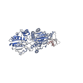 33741_7ycx_K_v1-2
The structure of INTAC-PEC complex