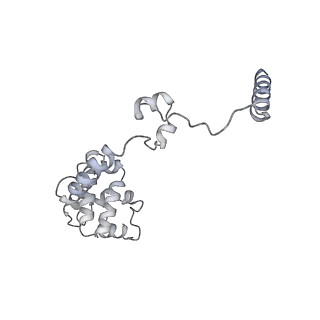 33741_7ycx_e_v1-2
The structure of INTAC-PEC complex