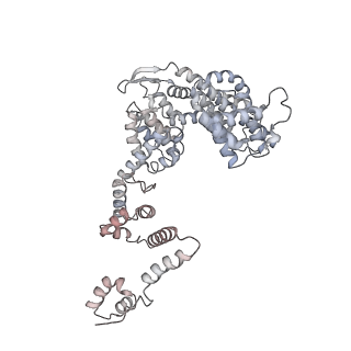 33741_7ycx_g_v1-2
The structure of INTAC-PEC complex