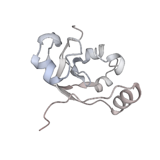 33741_7ycx_i_v1-2
The structure of INTAC-PEC complex