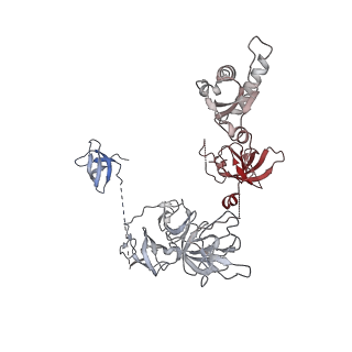 33741_7ycx_j_v1-2
The structure of INTAC-PEC complex