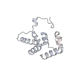 33741_7ycx_l_v1-2
The structure of INTAC-PEC complex