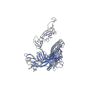 33742_7ycy_B_v1-0
SARS-CoV-2 Omicron 1-RBD up Spike trimer complexed with three XG005 molecules